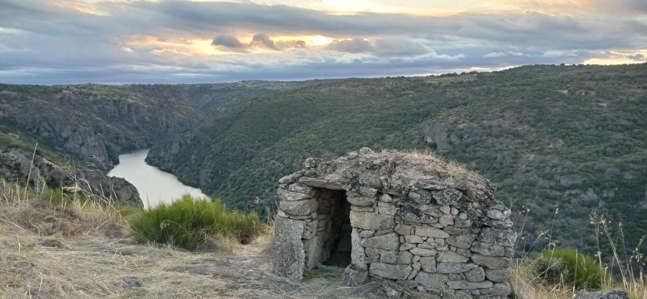Penzion La Alqueria De Mámoles Exteriér fotografie
